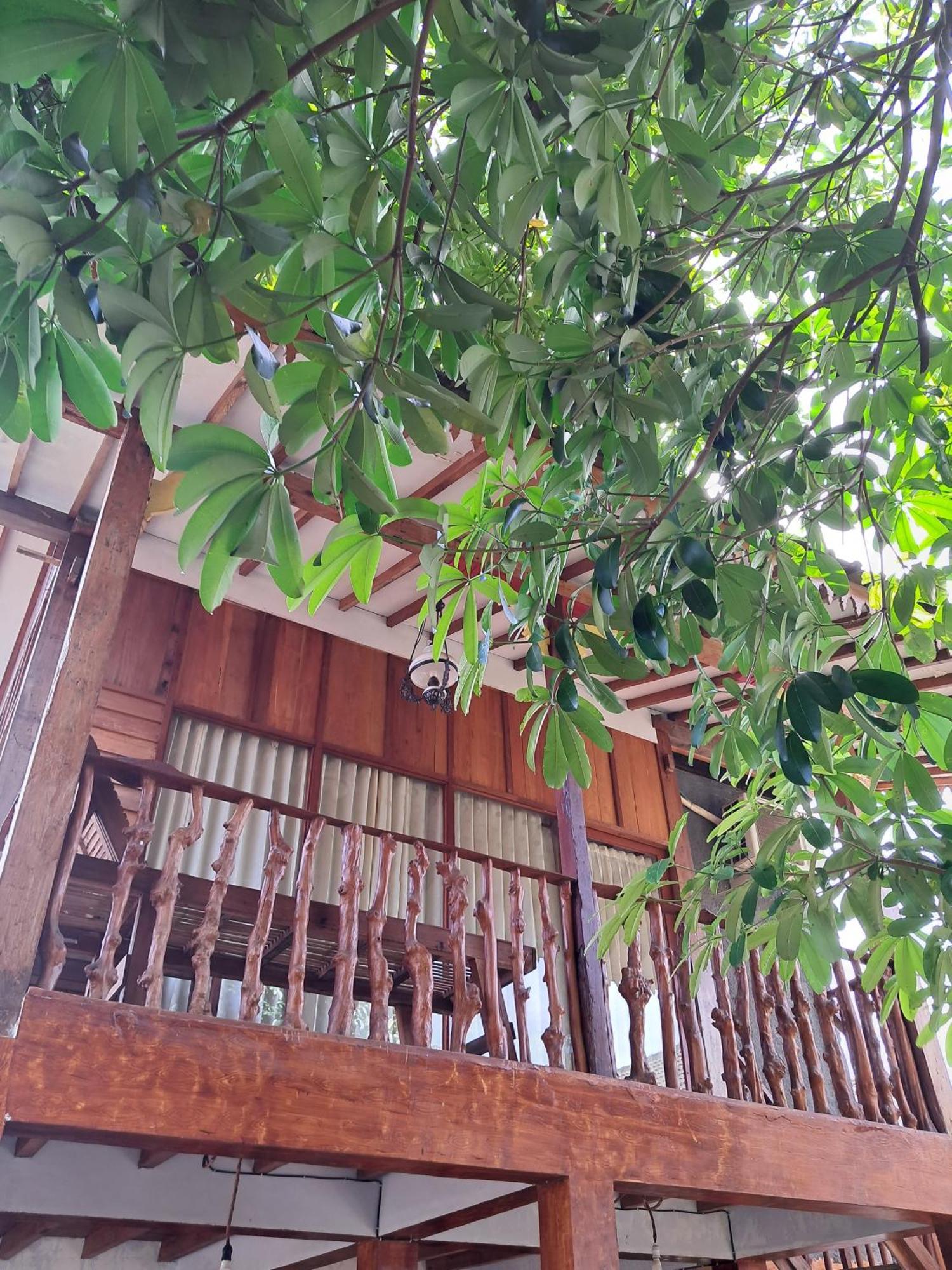 Diana'S Homestay Banyuwangi  Exterior foto
